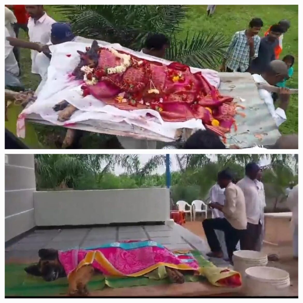 ఆదిలాబాద్ పెంపుడు కుక్కకు అంత్యక్రియలు జరిపిన యాజమాని