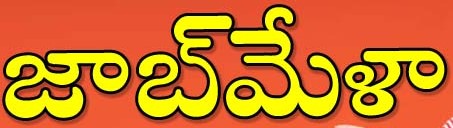 విజ‌య‌న‌గ‌రం ఆగష్టు 1 న జాబ్‌మేళా