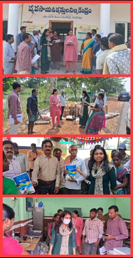The Desk…Kaikaluru : రైతులు తూఫాను పట్ల ఆందోళన చెందొద్దు… ముందస్తు కోతలు, నూర్పిడులు చెయ్యొద్దు : జేసీ ధాత్రి రెడ్డి