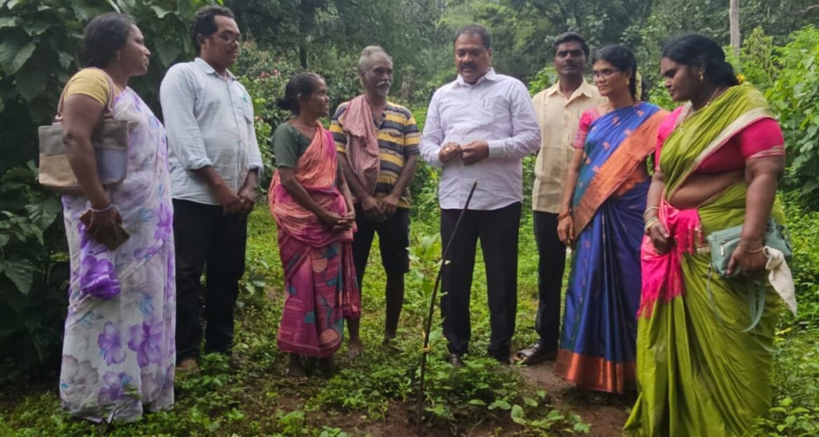 The Desk…Maredumilli : హార్టికల్చర్ ద్వారా రైతులకు లాభం. ఏపీడి శ్రీనివాస విశ్వనాధ్