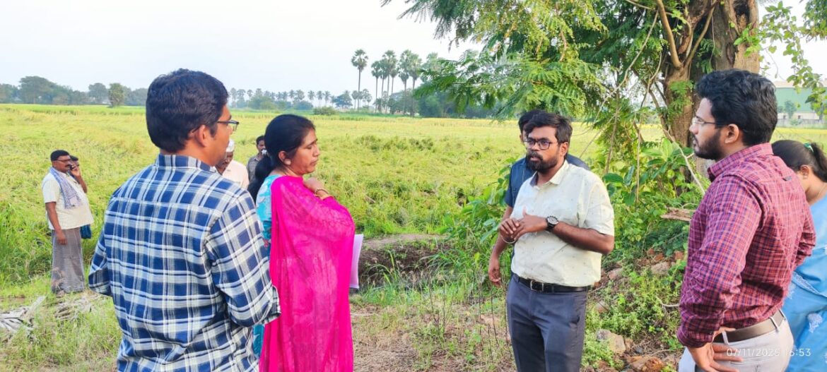 The Desk…Machilipatnam : మోంథా తుఫానుకు దెబ్బతిన్న వరి పంట పొలాలను పరిశీలించిన జిల్లా కలెక్టర్