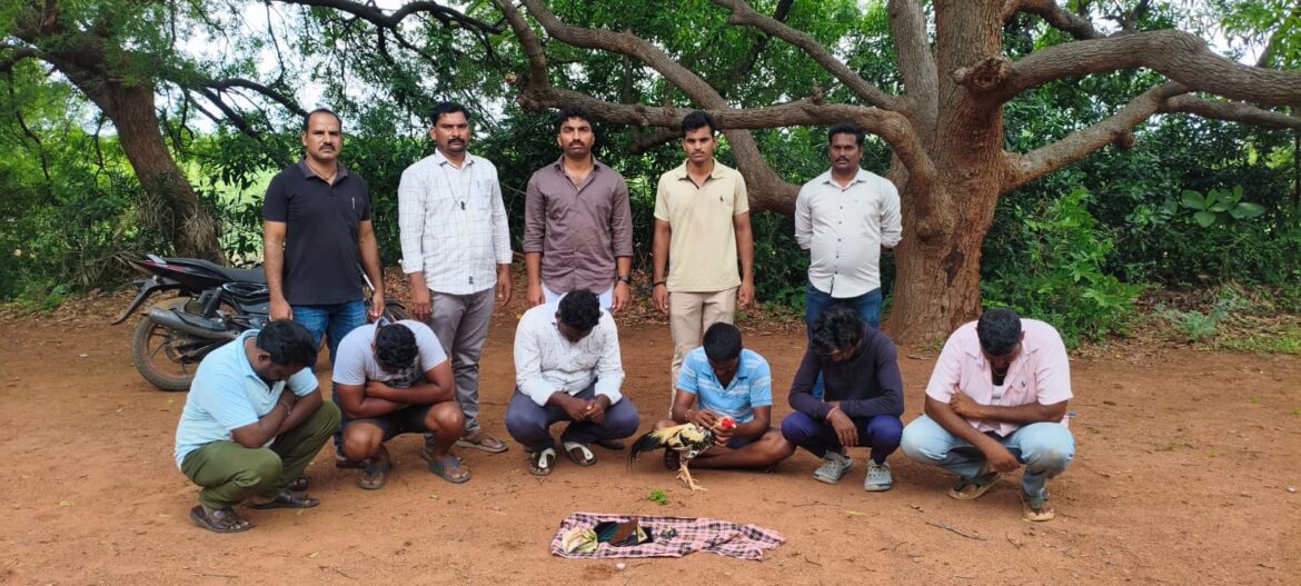 The Desk… Vijayawada: బహిరంగ కోడిపందాలపై పోలీసుల దాడి..ఆరుగురు అరెస్ట్